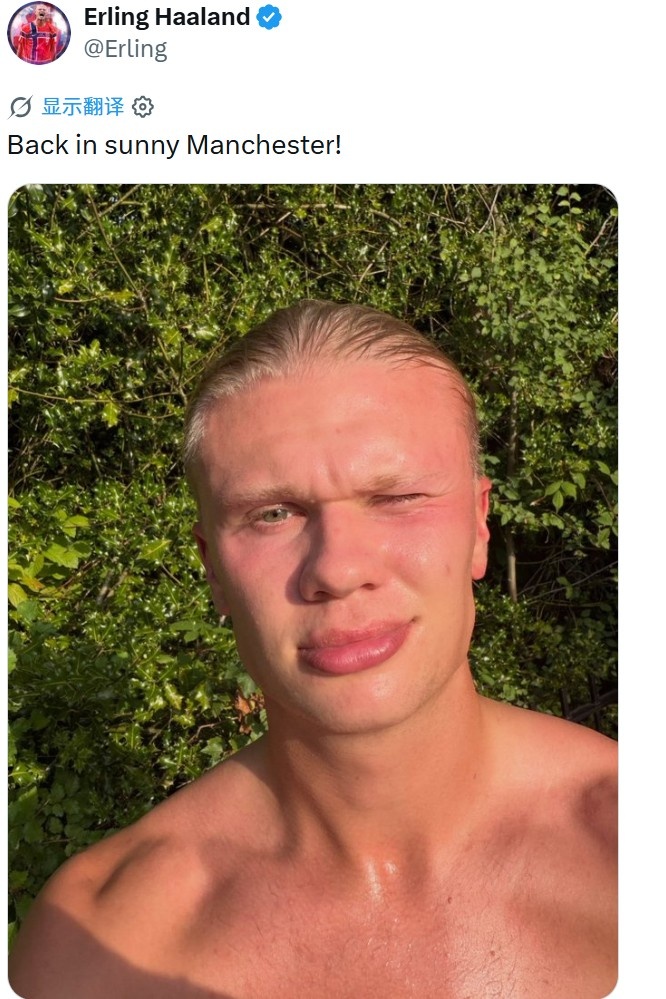 球迷称“代我向安德森问好”，哈兰德回复：跳水的那位？
